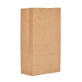 7.06 x 4.5 x 13.75" Kraft Paper Bag, 500/CS