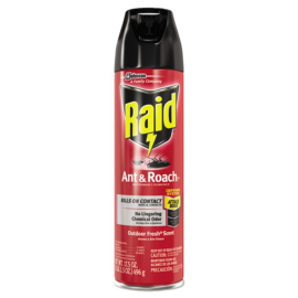 Raid Ant and Roach Killer Aerosol Spray 17.5oz